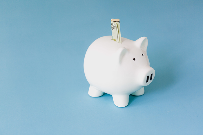 The Herbal Mojo for Guys Refund Policy Page showing image of a piggy bank