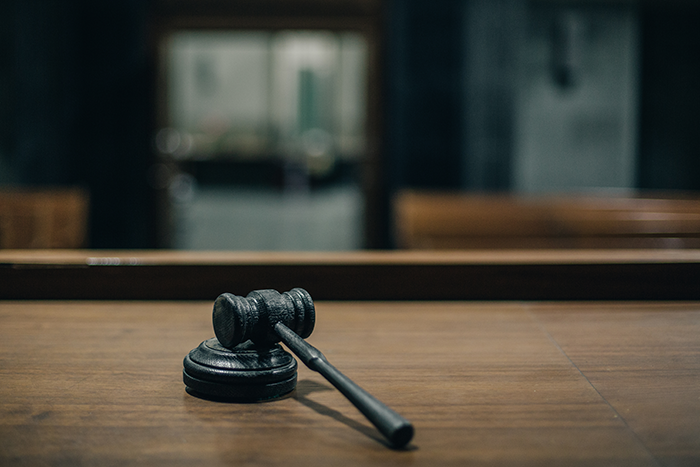 The Herbal Mojo for Guys Terms of Service Page showing an image of a judge's gavel