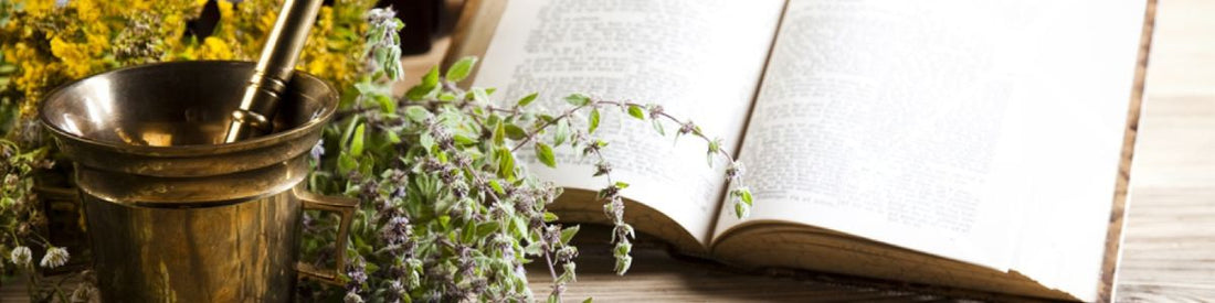 Brass mortar and pestle beside sprigs of flowering herbs and yellow wildflowers, with an open book on a wooden table and apothecary bottles behind
